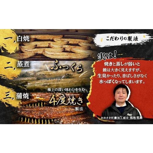 ふるさと納税 ウナギ 鹿児島県 大崎町 どーんとお届け 特大25尾 鹿児島県産長蒲焼