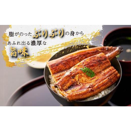 ふるさと納税 ウナギ 鹿児島県 大崎町 どーんとお届け 特大25尾 鹿児島県産長蒲焼