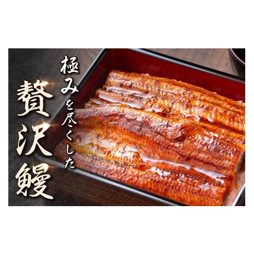 ふるさと納税 ウナギ 鹿児島県 大崎町 どーんとお届け 特大25尾 鹿児島県産長蒲焼