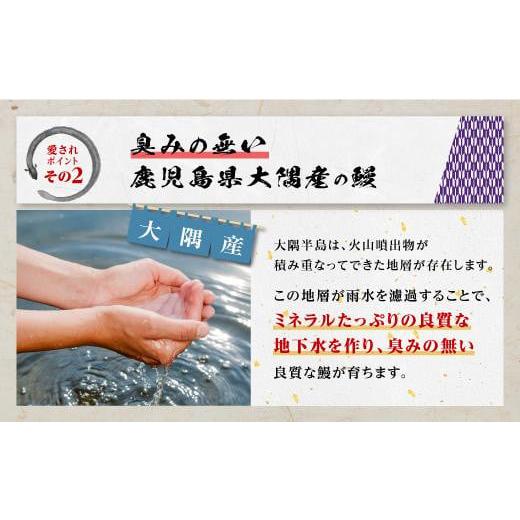 ふるさと納税 鹿児島県 大崎町 ふっくらやわらか鹿児島県産うなぎ蒲焼2尾セット（330g）｜furusatochoice｜06