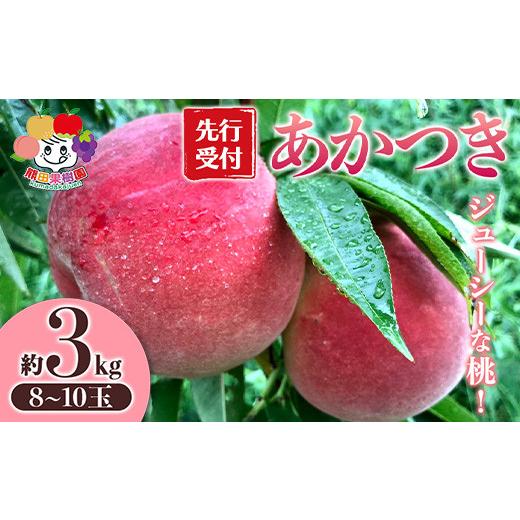 ふるさと納税 もも 福島県 白河市  先行予約 ジューシーな桃 あかつき 約3kg（8〜10玉） F21R-878の画像