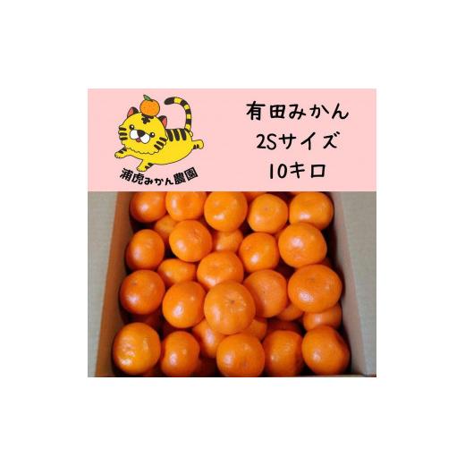ふるさと納税 果物類 みかん 和歌山県 有田川町 12/25までにご入金確認分は年内発送確定 きれいな温州みかん 寄贈用にも 箱込み10kg(SSサイズ)小さなミカン…