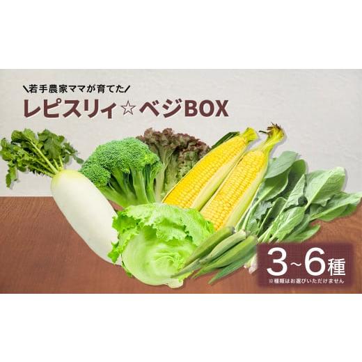 ふるさと納税 福岡県 大刀洗町 レピスリィ☆ベジBOX 季節のお野菜 3〜6種類 詰め合わせ