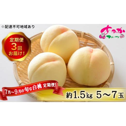 ふるさと納税 もも 岡山県 赤磐市 桃 定期便 2026年 先行予約 7月〜9月 の旬な 白桃 定期便 約1.5kg 5〜7玉 3回お届け もも モモ 岡山県 赤磐市産 国産 フルー…