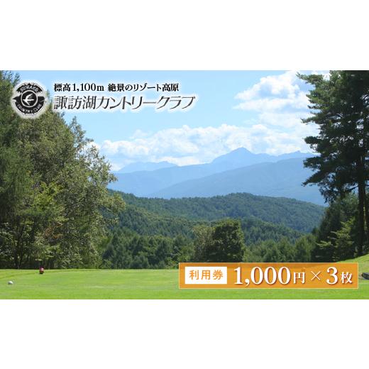ふるさと納税 体験チケット 長野県 諏訪市 諏訪湖カントリ—クラブ利用券1,000円×3枚/諏訪湖カントリ—クラブ ゴルフ場 施設 利用券 信州 諏訪 79-01