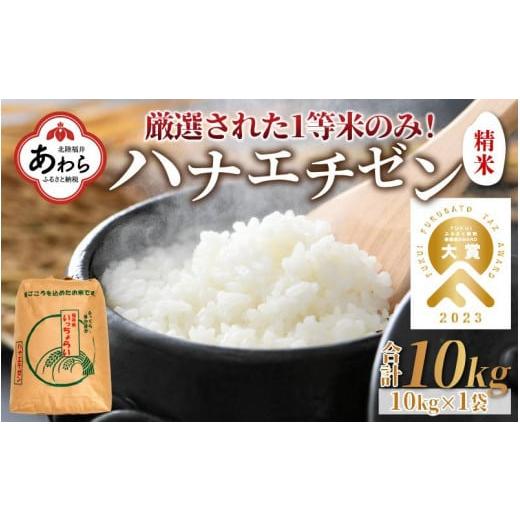 ふるさと納税 福井県 あわら市 [先行予約][一等米]令和6年産 ハナエチゼン 精米 10kg ×1袋[発送直前精米!] / 福井県産 ブランド米 ご飯 白米 お米 …