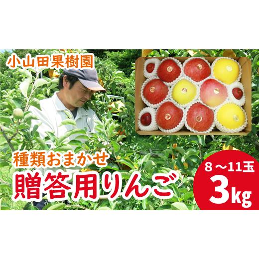 ふるさと納税 りんご 岩手県 滝沢市 2025年 11月上旬より発送 岩手県産 りんご 贈答用 3kg 約 8玉 から 11玉 / 小山田果樹園 品種 おまかせ リンゴ 林檎 ア…