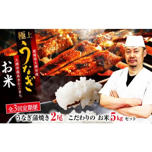 ふるさと納税 ウナギ 愛媛県 大洲市  全3回定期便 ウナギ 蒲焼き 2尾 と 生み出すこと者 こだわり のお米 5kg 仕かける 鰻 雄篇 国産 鰻 うな丼 うな重 かば焼き 高…