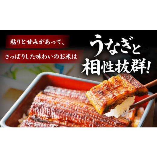 ふるさと納税 ウナギ 愛媛県 大洲市  全3回定期便 ウナギ 蒲焼き 2尾 と 生み出すこと者 こだわり のお米 5kg 仕かける 鰻 雄篇 国産 鰻 うな丼 うな重 かば焼き 高…