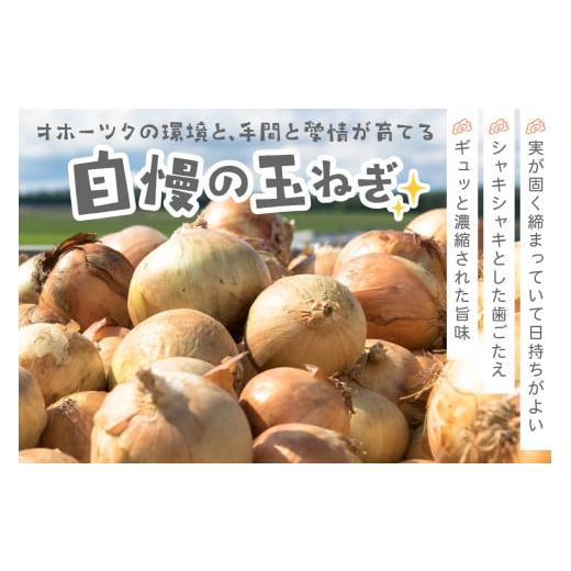 ふるさと納税 北海道 北見市 【2024年11月中お届け】北海道北見産 玉ねぎ 20kg ( 玉ねぎ 野菜 たまねぎ タマネギ 玉葱 甘い 20キロ ハンバーグ 肉じゃが ふる…｜furusatochoice｜05