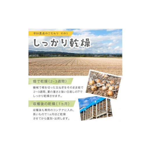 ふるさと納税 北海道 北見市 【2025年2月中お届け】北見市産 たまねぎとじゃがいもセット 約15kg ( 野菜 たまねぎ 玉ねぎ タマネギ 玉葱 ジャガイモ じゃがい…｜furusatochoice｜07