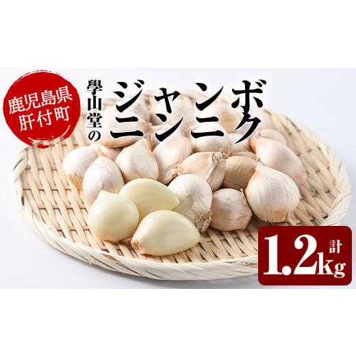 ふるさと納税 鹿児島県 肝付町 A69003 [先行予約受付中!2024年5月より準備ができ次第発送]學山堂のジャンボにんにく(計1.2kg) [ニンニクの學山堂]