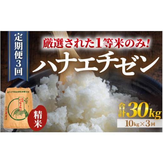 ふるさと納税 米 福井県 あわら市 先行予約 令和8年産・新米 一等米 定期便3回 ハナエチゼン 精米 10kg × 3回(30kg)[発送直前精米 ] / 福井県産 ブラン…