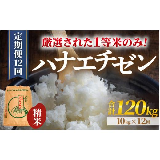 ふるさと納税 米 福井県 あわら市 先行予約 令和8年産・新米 一等米 定期便12回 ハナエチゼン 精米 10kg × 12回(120kg)[発送直前精米 ] / 福井県産 ブ…