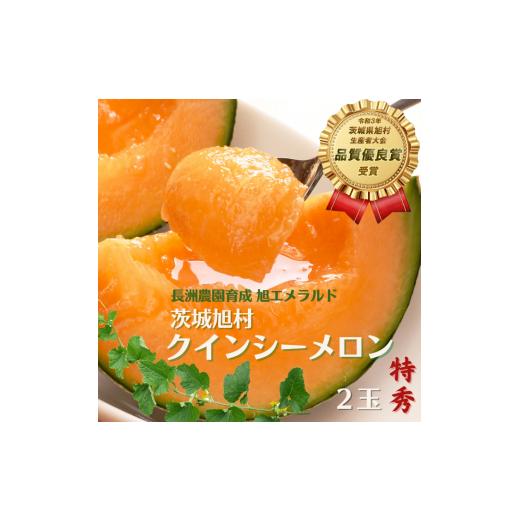 ふるさと納税 メロン メロン赤肉 茨城県 鉾田市 特秀 クインシーメロン 2玉(1.2kg×2)茨城旭エメラルド
