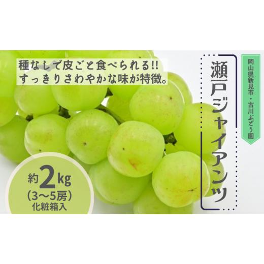 ふるさと納税 岡山県 新見市 古川ぶどう園 瀬戸ジャイアンツ 約2kg 3〜5房 [先行予約 2024年10月上旬から順次発送]