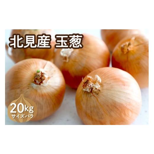 ふるさと納税 野菜類 玉ねぎ 北海道 北見市  予約：2026年10月下旬から順次発送 北見産玉ねぎ 20kg ( 機能性玉葱 サイズバラ 玉ねぎ たまねぎ タマネギ 玉葱 …の画像