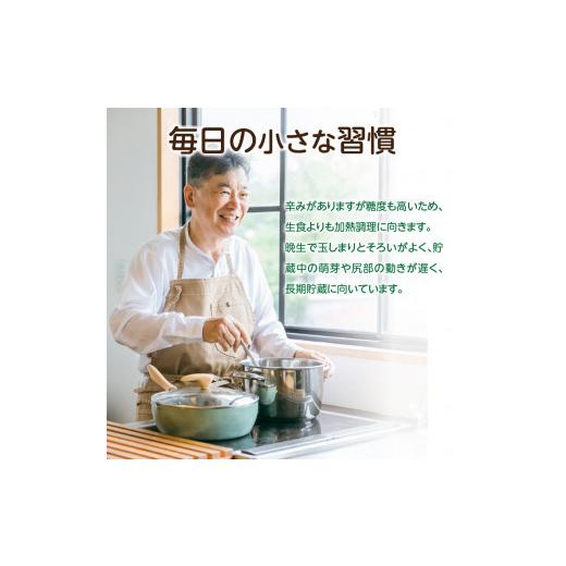 ふるさと納税 野菜類 玉ねぎ 北海道 北見市  予約：2026年10月下旬から順次発送 北見産玉ねぎ 20kg ( 機能性玉葱 サイズバラ 玉ねぎ たまねぎ タマネギ 玉葱 …の画像