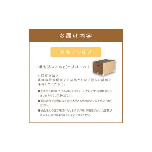 ふるさと納税 野菜類 玉ねぎ 北海道 北見市  予約：2026年10月下旬から順次発送 北見産玉ねぎ 20kg ( 機能性玉葱 サイズバラ 玉ねぎ たまねぎ タマネギ 玉葱 …の画像