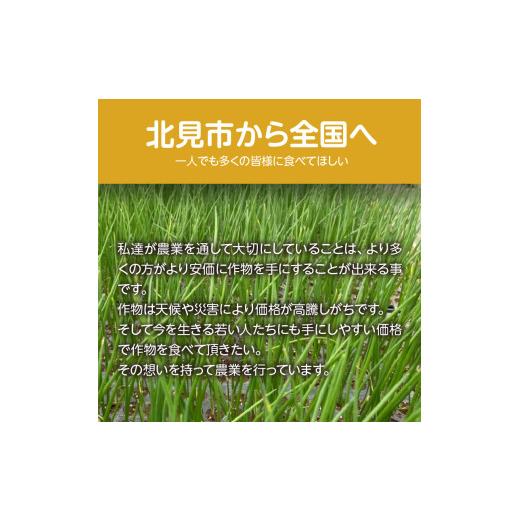 ふるさと納税 野菜類 玉ねぎ 北海道 北見市  予約：2026年10月下旬から順次発送 北見産玉ねぎ 20kg ( 機能性玉葱 サイズバラ 玉ねぎ たまねぎ タマネギ 玉葱 …の画像