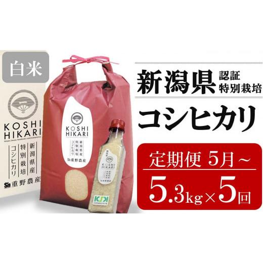 ふるさと納税 米 コシヒカリ 新潟県 柏崎市 定期便・5月〜発送 コシヒカリ 白米 5kg(ペットボトル米 300g 1本付き)×5回 (計 26.5kg)重ちゃんが愛情込め…