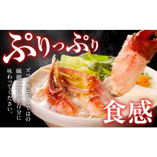 ふるさと納税 カニ ずわいガニ 大阪府 泉佐野市  高評価 本ズワイ蟹 爪肉 500g カット済み（2-3人前） 2Lサイズ ボイル ずわいがに カニ 海鮮 訳あり サイズ不…の画像