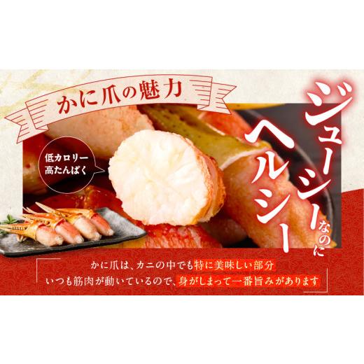 ふるさと納税 カニ ずわいガニ 大阪府 泉佐野市  高評価 本ズワイ蟹 爪肉 500g カット済み（2-3人前） 2Lサイズ ボイル ずわいがに カニ 海鮮 訳あり サイズ不…の画像