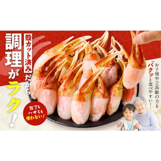 ふるさと納税 カニ ずわいガニ 大阪府 泉佐野市  高評価 本ズワイ蟹 爪肉 500g カット済み（2-3人前） 2Lサイズ ボイル ずわいがに カニ 海鮮 訳あり サイズ不…の画像