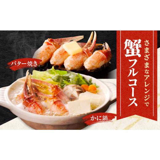 ふるさと納税 カニ ずわいガニ 大阪府 泉佐野市  高評価 本ズワイ蟹 爪肉 500g カット済み（2-3人前） 2Lサイズ ボイル ずわいがに カニ 海鮮 訳あり サイズ不…の画像