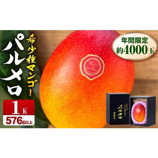 ふるさと納税 マンゴー 宮崎県 宮崎市 [2026年発送先行予約] 期間・数量限定 宮崎県産希少種マンゴーパルメロ 計576g以上 1玉入り 人気 おすすめ 宮崎 宮崎…