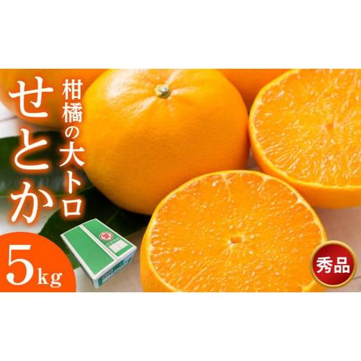 ふるさと納税 みかん・柑橘類 愛媛県 松山市 せとか 5kg ご家庭用 選べる等級 秀品 柑橘 大トロ くだもの 数量限定 フルーツ みかん 愛媛 松山 等級:秀品