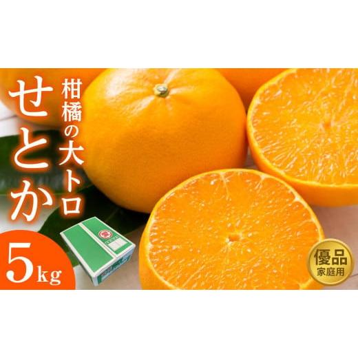 ふるさと納税 みかん・柑橘類 愛媛県 松山市 せとか 5kg ご家庭用 選べる等級 優品 柑橘 大トロ くだもの 数量限定 フルーツ みかん 愛媛 松山 等級:優品
