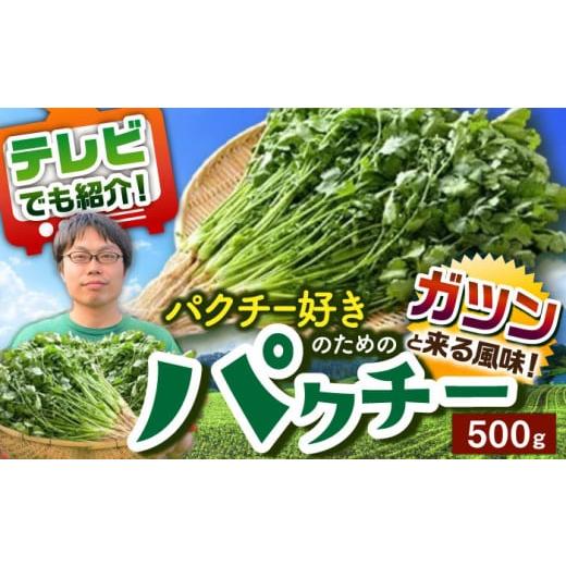 ふるさと納税 野菜類 ハーブ 佐賀県 武雄市 満天 青空レストランでご紹介 パクチー好きのためのパクチー 500g 江口農園 UBF008 野菜 パクチー 本場のパクチー