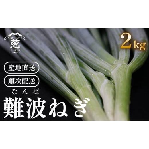 ふるさと納税 野菜類 ねぎ 大阪府 松原市 なにわの甘さ 難波葱 2kg ねぎ 葱 鍋 青ねぎ 難波ねぎ 難波ネギ 白ねぎ 野菜 旬 ねぎ やさい 新鮮 産地直送 採れた…