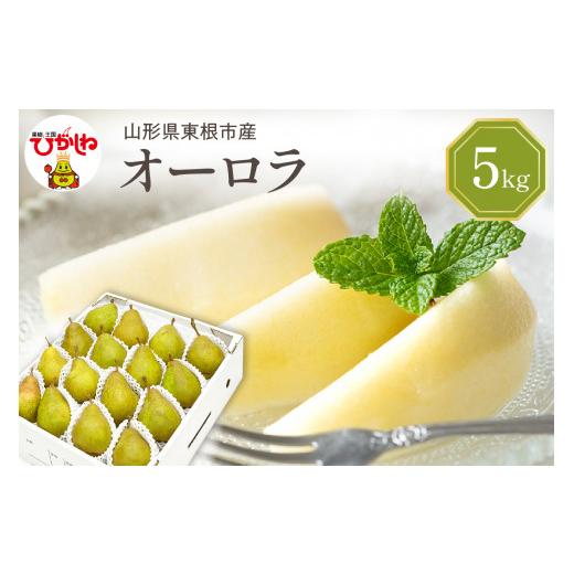 ふるさと納税 梨 山形県 東根市 2026年産 西洋梨 オーロラ 5kg 秀品 化粧箱入り 山形県 東根市 東根農産センター提供 hi027-187-r8 西洋梨オーロラ 5kg