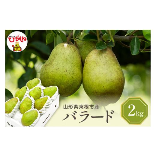 ふるさと納税 梨 山形県 東根市 2026年産 西洋梨 バラード 2kg 秀品 化粧箱入り 山形県 東根市 東根農産センター提供 hi027-190-r8 バラード 2kg