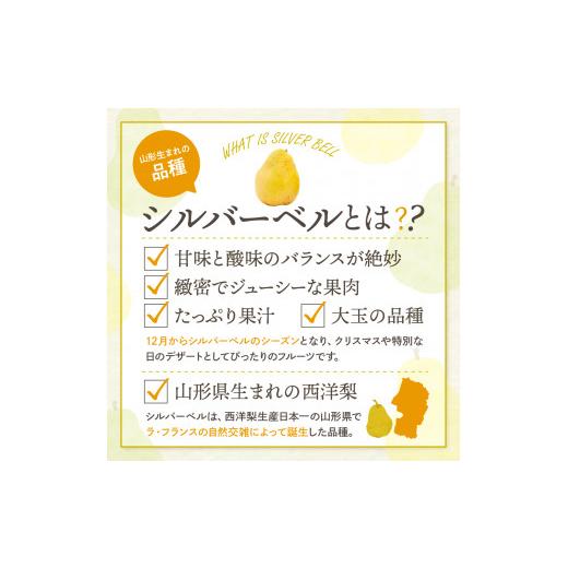 ふるさと納税 梨 山形県 東根市  2026年産 西洋梨 シルバーベル 2kg 秀品 化粧箱入り 山形県 東根市 東根農産センター提供 hi027-199-r8 シルバーベル 2kg_3