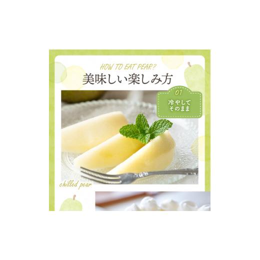 ふるさと納税 梨 山形県 東根市  2026年産 西洋梨 シルバーベル 2kg 秀品 化粧箱入り 山形県 東根市 東根農産センター提供 hi027-199-r8 シルバーベル 2kg_5