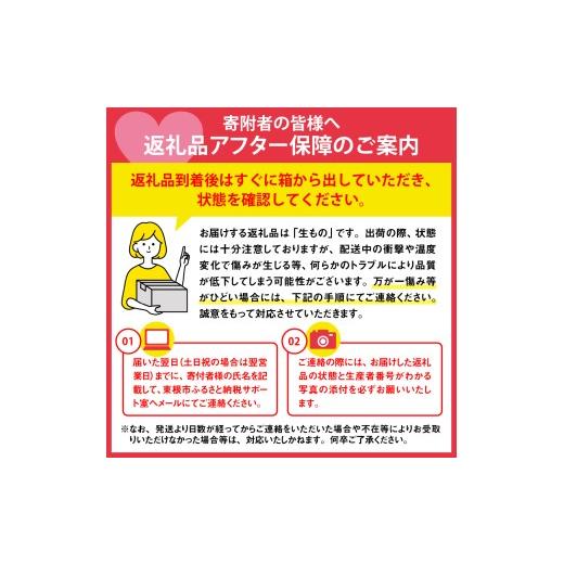 ふるさと納税 梨 山形県 東根市  2026年産 西洋梨 シルバーベル 2kg 秀品 化粧箱入り 山形県 東根市 東根農産センター提供 hi027-199-r8 シルバーベル 2kg_7