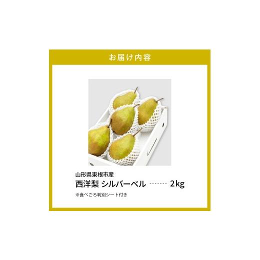 ふるさと納税 梨 山形県 東根市  2026年産 西洋梨 シルバーベル 2kg 秀品 化粧箱入り 山形県 東根市 東根農産センター提供 hi027-199-r8 シルバーベル 2kg_9