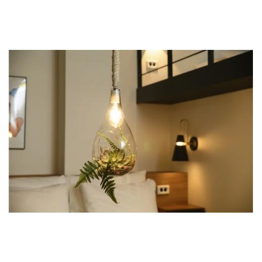 ふるさと納税 雑貨・日用品 インテリア 千葉県 柏市 ハンギングライト BOTANIC HANGING LIGHT L [ 吊り下げ ライト ランプ 照明 LED インテリア ハンギングラ…