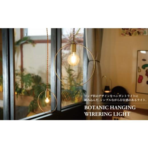 ふるさと納税 照明関連 千葉県 柏市 BOTANIC HANGING WIRERING LIGHT S