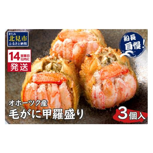 ふるさと納税 カニ 毛ガニ 北海道 北見市 [14営業日以内に発送]船長自慢のオホーツク産毛がにの甲羅盛り 3個入り 冷凍 ( 毛ガニ 毛がに 毛蟹 蟹 かに カニ …