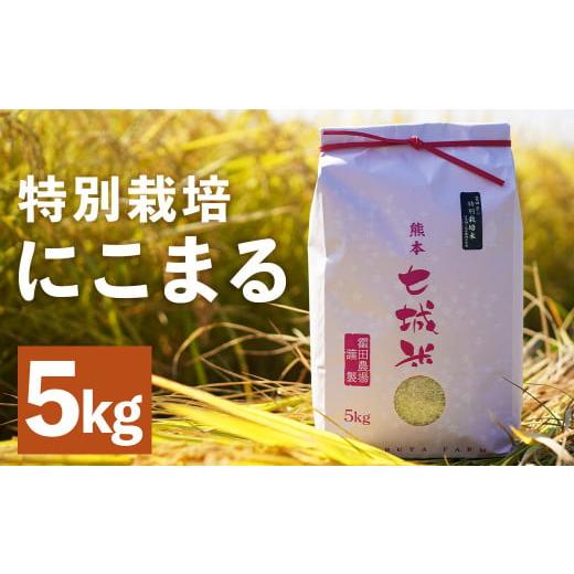 ふるさと納税 熊本県 菊池市 [紡ぐ。人をふる里を明日へ]極にこまる 5kg お米 ご飯