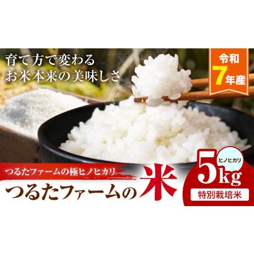 ふるさと納税 米 ヒノヒカリ 熊本県 菊池市 令和7年産 つるたファームの米 極ヒノヒカリ 特別栽培米 ヒノヒカリ 5kg 株式会社七城の恵み[30日以内に出荷予定(…