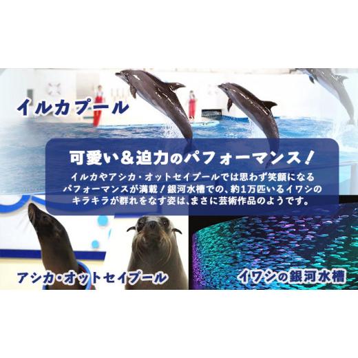 ふるさと納税 北海道 登別市 登別マリンパークニクス 入園券　大人・子供　各1名｜furusatochoice｜05