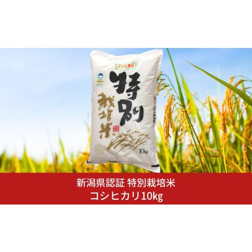 ふるさと納税 米 コシヒカリ 新潟県 三条市 特別栽培米 コシヒカリ10kg