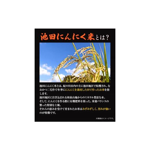 ふるさと納税 和歌山県 紀の川市 令和5年産 池田にんにく米 5kg (紀の川市産ひのひかり) 上野商店 《60日以内に出荷予定(土日祝除く)》和歌山県 紀の川市 米 …｜furusatochoice｜05