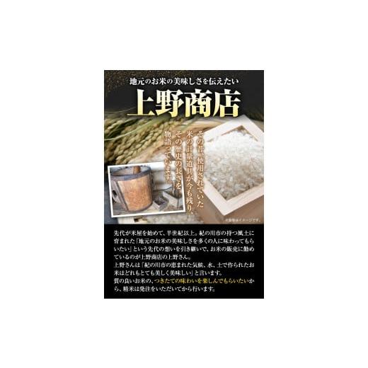 ふるさと納税 和歌山県 紀の川市 令和5年産 池田にんにく米 5kg (紀の川市産きぬひかり) 上野商店 《60日以内に出荷予定(土日祝除く)》和歌山県 紀の川市 米 …｜furusatochoice｜04