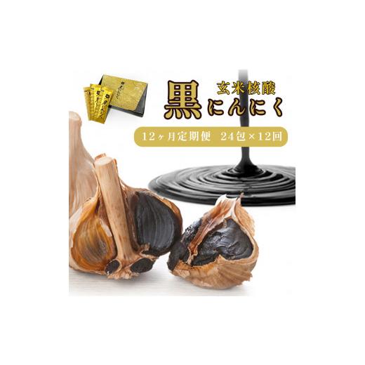 送料無料 ふるさと納税 京都府 舞鶴市 【12回定期便】玄米核酸 黒にんにく 24包×12回 12ヶ月 ペースト 大蒜 舞鶴産黒ニンニク 【LWH2498187388】(88000円)